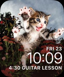 Cat: Time by Carmen