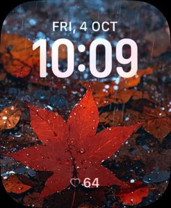 Leaf by Meer