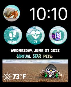 Interactive Beach Penguin by VirtualStar