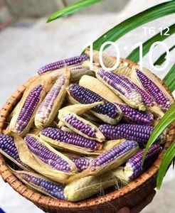 https://phanthuocsinhhoc.net/ by phanthuocsinhhocg2b