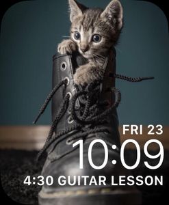 Cat: Now by Carmen