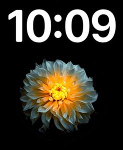 New Design by Ariel