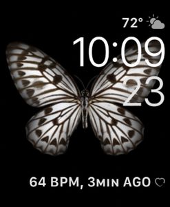 Motion Butterfly by Ariel