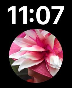 New Design by Stephanie