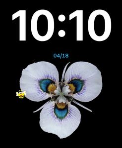 Happy Bee AW by TiBorg