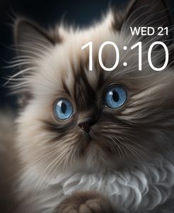 Persian Kitten by Tracey Lippett - MiniScenesGB