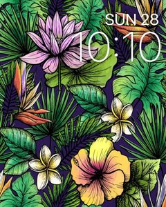RAINFOREST by tom