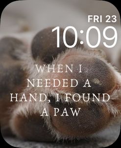 My dog, my friend II by Carmen