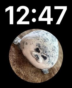 Seal watch face by Hermione