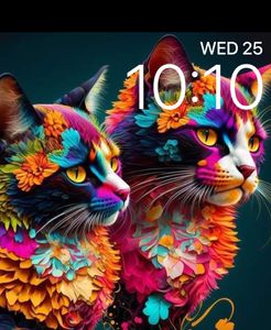 Cats by Nehemiah
