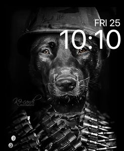 K9 CARDI SOLDIER by k9-cardi