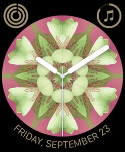 Kaleidoscope flower by Ariel