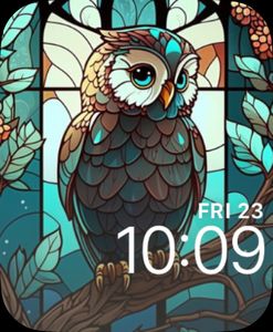Owlet by April