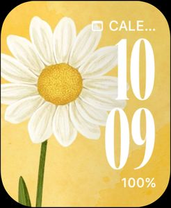 Sunny Daisy by Tracy