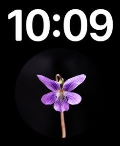 Time at top Flower at bottom by stepperry