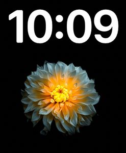Flower Power! by Ariel