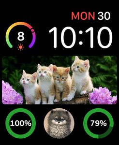 Puddytats by Gizmo411