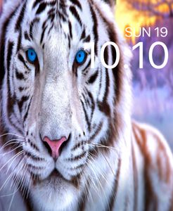 White Tiger by Zam Bucca