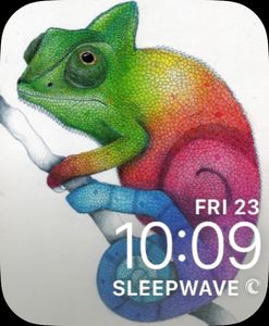 Lizard by April