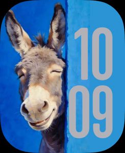 Lucky donkey by B75
