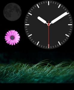 Nature at night by Ariel