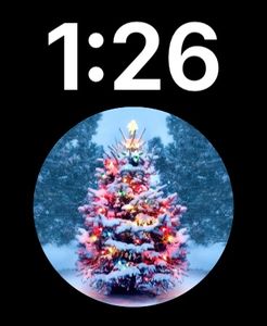 Christmas tree by Stephanie