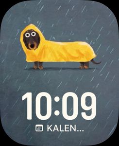 Dachshund by B75