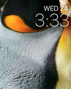 Penguin Vibes by Christopher