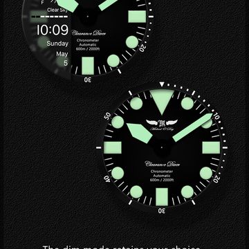 🗣️ #9387 Clearance Diver SP by Michael O'Day ™
