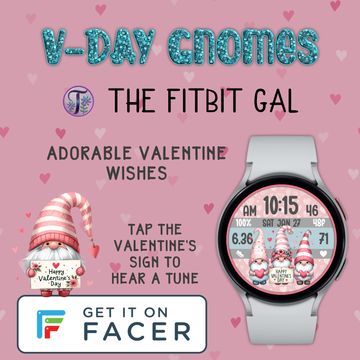 🎵V-Day Gnomes💘 by The Fitbit Gal™️