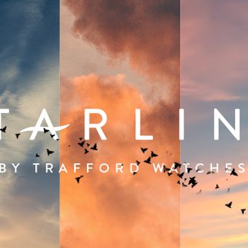 Starling by Trafford Labs