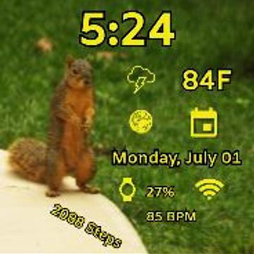 Squirrel Time 01 by MJS Designs