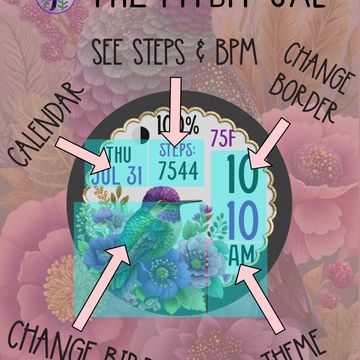 Hummingbird Glitz by The Fitbit Gal™️