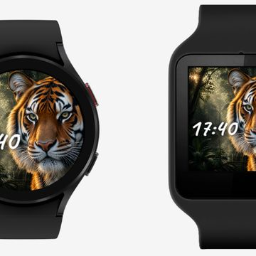 Big Cats - Tiger by PMC Labs Studio