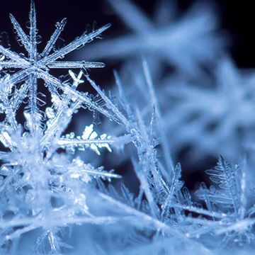 Winter Wonderland - iPhone by McLovin