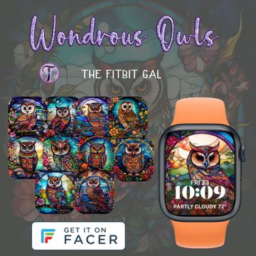 🦉Wondrous Owls🦉 by The Fitbit Gal™️