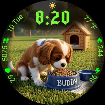 A dogs life Animated by StarWatchfaces