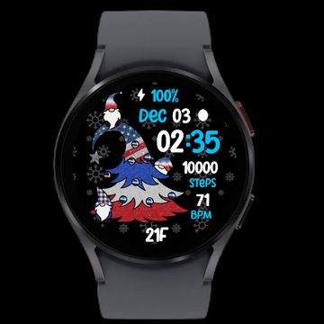 🎄A Gnome Christmas🎄 by The Fitbit Gal™️