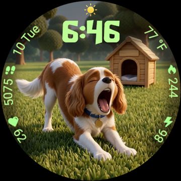 A dogs life Animated by StarWatchfaces