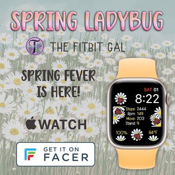 🐞Spring Ladybug v2🐞 by The Fitbit Gal™️