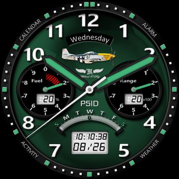 R1568 P51D Mustang by Michael O'Day ™