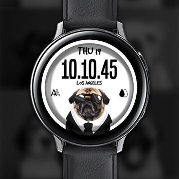 GRR | PETS IN BLACK by GRR