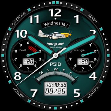R1568 P51D Mustang by Michael O'Day ™