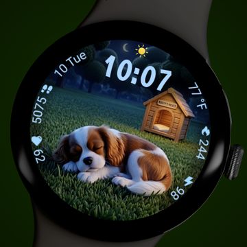 A dogs life Animated by StarWatchfaces