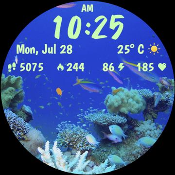 Live Aquarium Animated WF by StarWatchfaces