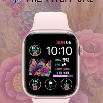 Hummingbird Glitz by The Fitbit Gal™️