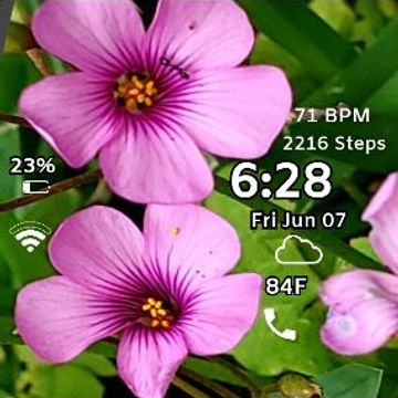 Pink Flower 3 by MJS Designs