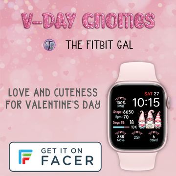 💘V-Day Gnomes💘 by The Fitbit Gal™️
