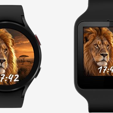 Big Cats - Lion by PMC Labs Studio
