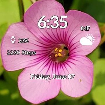 Pink Flower 1 by MJS Designs